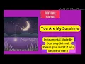 Lavender Lullabies : You Are My Sunshine (Instrumental)