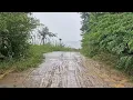 Download Lagu Manhã de temporal de chuva⛈️ forte no interior da Paraíb,muitos alagamentos devido às fortes chuvas