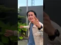 Download Lagu Mesa Hira, Yovie Widianto - Merindu Lagi #tiktok #viraltiktok #fypシ゚viral #shorts #shortvideo