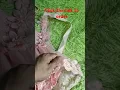 Download Lagu https://vt.tiktok.com/ZShpYoLPP/