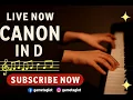 Download Lagu 🔴 LIVE NOW: Canon in D Major – A Timeless Piano Journey 🌟🎶 L-3