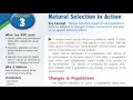 10 3 Natural Selection in Action