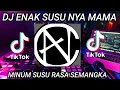 Download Lagu DJ ENAK SUSUNYA REMIX TIKTOK VIRAL 2023 | DJ MINUM SUSU RASA SEMANGKA