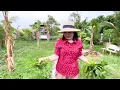 Download Lagu ប្រពន្ធខ្ញុំចូលចិត្តននោងឆាពងទា