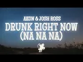 Download Lagu Josh Ross, Akon - Drunk Right Now (Na Na) (Lyrics)