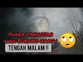 Download Lagu TANGISAN SUARA ANAK BURUNG HANTU/CELEPUK TENGAH MALAM !!