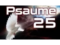 Psalm 25 - To you O Lord I lift up my soul