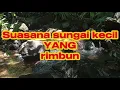 Download Lagu susana sungai kecil yang sejuk dan damai, suara mengalir yang cocok untuk memenangkan otak