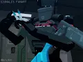 STAR s NW5 Rifle SFX