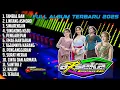 FULL ALBUM DANGDUT ARSEKA MUSIK TERBARU 2025 | SINARENGAN | SINGKONG KEJU