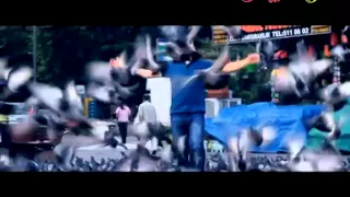 صلو عليه موسى مصطفى قناة كراميش الفضائية Karameesh Tv 