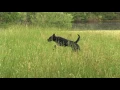 IMG 0947