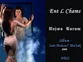 Najwa Karam - Ent L Chams [Official Audio] (2008) / نجوى كرم - إنت الشمس