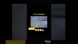 Coco Jambo 