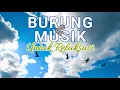 Download Lagu Suara Indah Burung Berkicau dan Diiringi Dengan Musik Merdu (Untuk Relaksasi Penghantar Tidur)