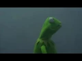 Evil Kermit meme