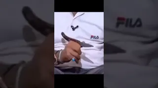 طريقة بلجيكا الله يرحمة في فتح المطوة    دندنها