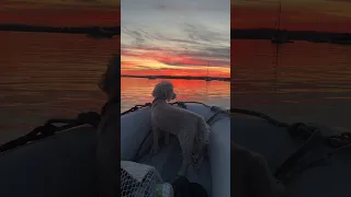 Tonight’s sunset was spectacular #boatlife #liveaboard