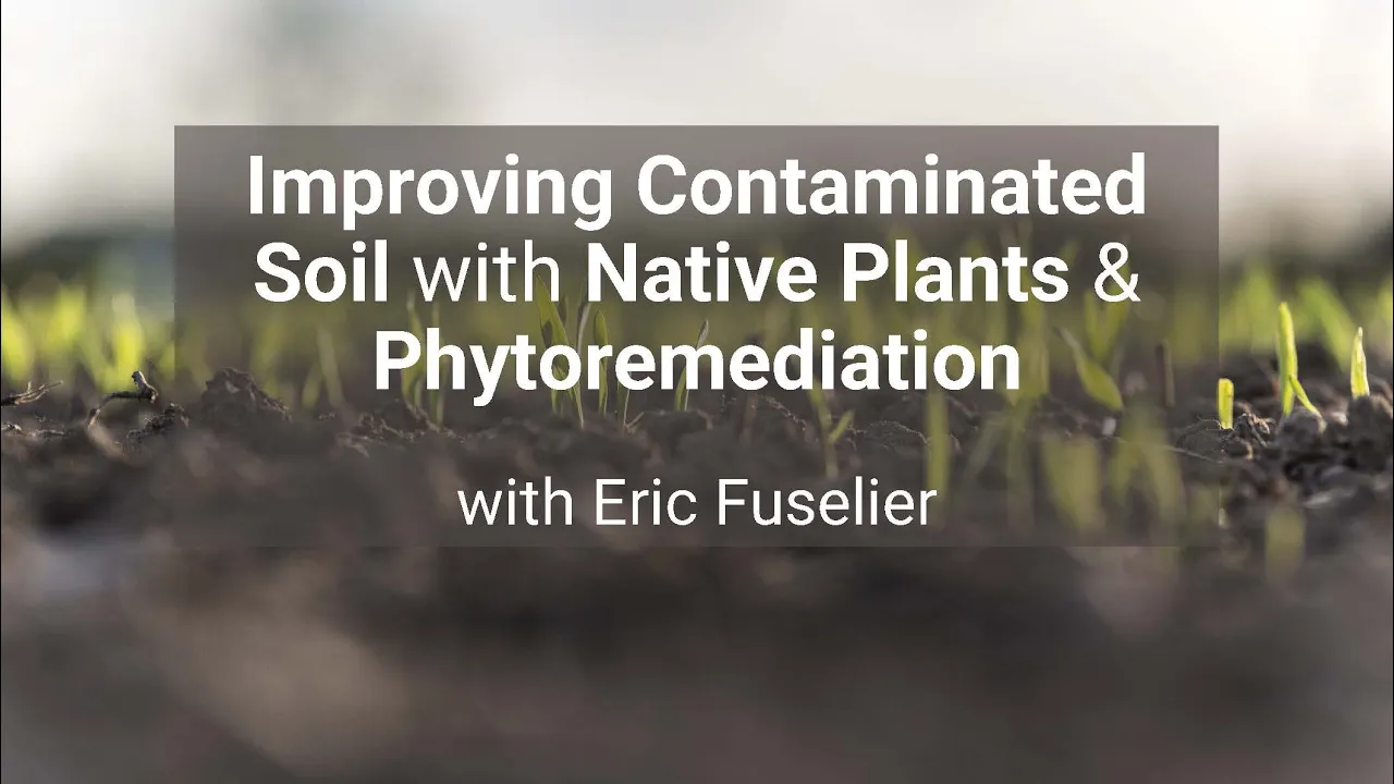 Improving Contaminated Soil with Native Plants & Phytoremediation with Eric Fuselier
