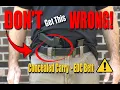 How To CHOOSE the RIGHT Gun Belt for CONCEALED CARRY - EDC 2025