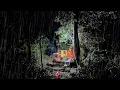 Lagu Camping hujan deras membuat shelter disamping pohon raksasa berusia seratus tahun
