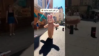 لابوبو يشطح على موسيقى شاوية 