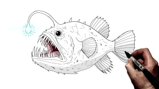 How To Draw An Angler Fish | Step By Step | Animal Drawing Tutorial