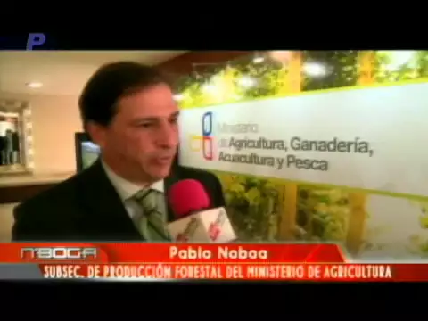 1era. Cumbre Forestal 2014 Desarrollo Sostenible y Rentabilidad