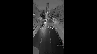 كل يوم سهران الليل عمال أفكر فيك ياجميل دندنها