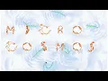 Elastic lifeforms Microcosmos A physics-based Artificial Life Simulator