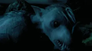 Werewolf Scene Harry Potter And The Prisoner Of Azkaban 