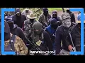 Download Lagu DEA surge targets Sinaloa cartel | NewsNation Now