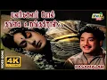 Download Lagu மலர்கலை போல் தங்கை உறங்குகிறாள்..| 4K Video Song | Pasamalar | Sivaji | Savitri | Raj 4K Songs