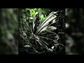 Download Lagu HIMXN - OUTSIDE PR FUNK (SLOWED) [1 HOUR] | PHONK 2024 | фанк