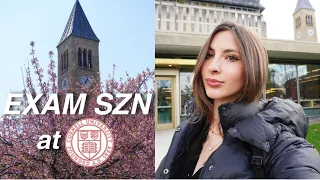 exam season cornell university study with me