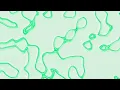 Animated Pattern Overlay Background