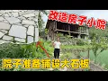 Download Lagu 牛圈茶室改造完工，开始改造小院，放弃水泥硬化准备用石板铺设，保留木房子的特色