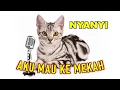 Download Lagu KUCING NYANYI AKU MAU KE MEKAH BERKELILING KELILING KA'BAH LUCU