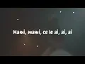 Mario x Connect-R - Toreador | Lyric Video