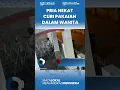 Download Lagu PARAH! Maling Nekat Curi Celana Dalam Wanita di Jogja Tiap Malam, Terekam CCTV Viral di Media Sosial
