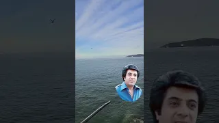 خواننده اکبر گلپایگانی آهنگ موی سپید موسیقی ایرانی گلپا Persian Music 