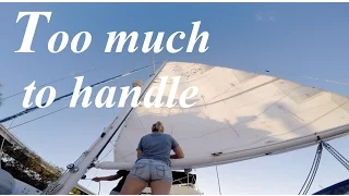 Too Much to Handle! – Lazy Gecko VLOG 41