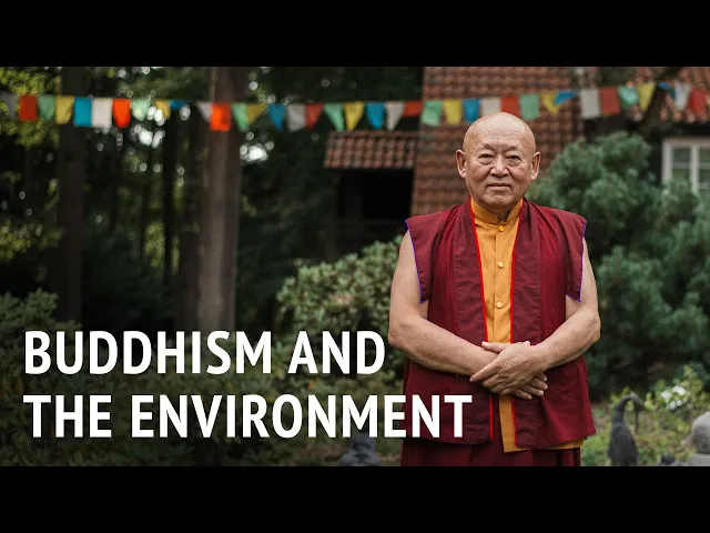 Buddhism and the Environment | Drikung Chetsang Rinpoche