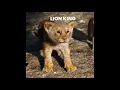 Lion King | Mufasa saves Simba from Hyenas | Attitude Whatsapp Status BGM