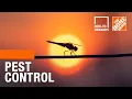 How-To Workshops - Pest Control The Home Depot