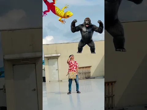 Flying crying babies Catching vs danching gorilla,, cute bhabhi,, parrot, good day funnyvideo😄😄😄