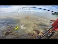 Download Lagu Tangan Terasa DIBAKAR Terkena Duri Ikan Ini!!