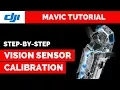How to CALIBRATE Mavic Pro Vision System - DJI Assistant 2 Tutorial