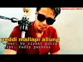 Download Lagu 🔰 PEDDI MALLAPI ALLUNG - bugis cover by : riyant putra