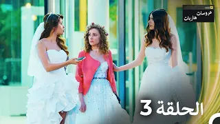 عروسات هاربات الحلقة 3 مدبلج بالعربية 